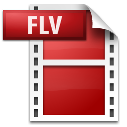 flash player